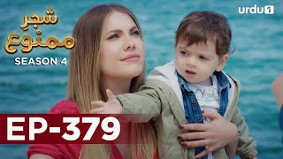 ShajareMamnu  Episode 379  Turkish Drama  Forbidden Fruit  Urdu Dubbing  24 May 2022 [upl. by Geerts]