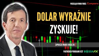 Europejskie problemy ważą na rynkach  Świat walut Marka Rogalskiego  14062024 [upl. by Selrahcnhoj]