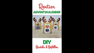 DIY RentierAdventskalender selber basteln [upl. by Sachs]