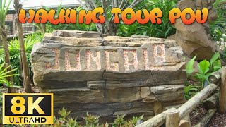 Walking POV of Jungala Area and Tiger Lodge at Busch Gardens Tampa adventureschmuck pov [upl. by Ruckman440]