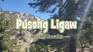 Pusong Ligaw  KARAOKE VERSION  as popularized by Jericho Rosales [upl. by Iramohs862]