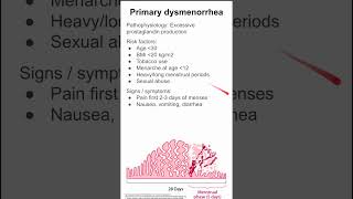 Primary dysmenorrhea [upl. by Shae]