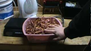 How to strip copper wire a scrappers must have tool [upl. by Jt]