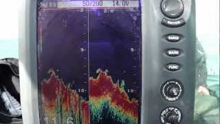 Airmar TM270W 50 KHz vs 200 KHz on Furuno 585 sounder [upl. by Arde]