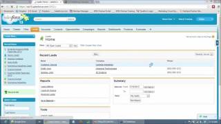 Optimizing Campaigns and Lead Management in Salesforce [upl. by Coucher947]