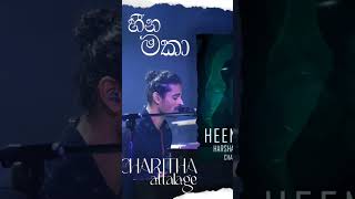 HEENA MAKA Charitha Attalage heenamaka viralvideo charithaattalage kuweniconcert [upl. by Duke]