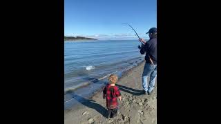 Fishing for Kahawai in New Zealand [upl. by Sinai]