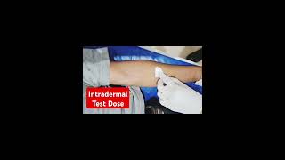 How to give test dose in intradermal intradermal injection Technique intradermal testdose [upl. by Ezaria482]