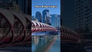 Peace Bridge in Calgary peacebridge calgary winterincanada [upl. by Anavrin]