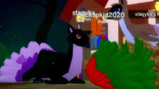 Playing feather family Roblox [upl. by Nosoj]