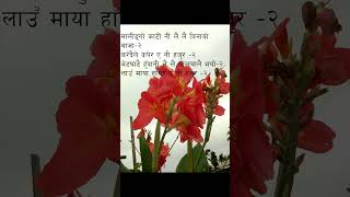 Malingo kati ni lai lai  Nepali song  Old Nepali song  Lok geet  piano  Nepali music  Songs [upl. by Greiner452]