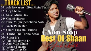 Best Of Shaan  NonStop Romantic Jukebox  BMIXLOFI [upl. by Nitsirc]