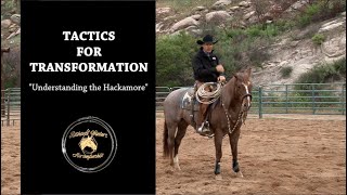 Understanding the Hackamore by Richard Winters amp Weaver Leather [upl. by Marucci]