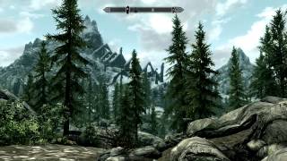 Help  Skyrim graphics bug SOLVED [upl. by Hightower590]