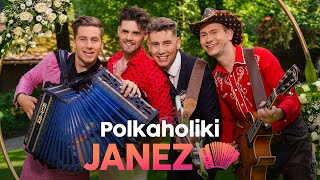 POLKAHOLIKI  JANEZ Official Video [upl. by Pilif]