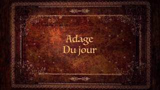 Adage juridique [upl. by Nawad]