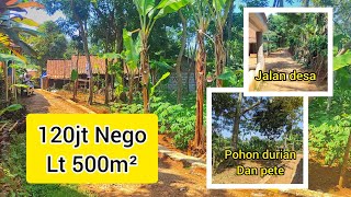 terjual JUAL TANAH NEMPEL JALAN DESA LT 500M² HRG 120JT NEGOO [upl. by Creedon]