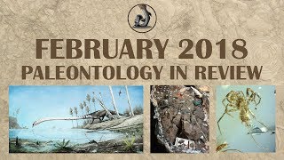 February 2018 Paleontology in Review [upl. by O'Dell]