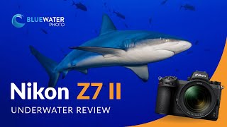 Nikon Z7II Underwater Photo amp Video Review  The BEST Nikon camera [upl. by Levey]