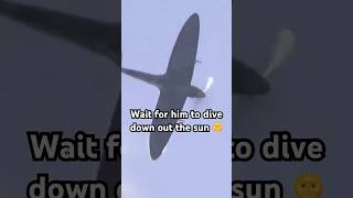 🇬🇧 Glorious Spitfire Flyby shortvideo aviation fyp [upl. by Marder148]