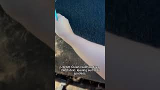 Make cleaning easy with Uproot Clean puppy dog dogs cleaning clean doghair cleaningtips [upl. by Windzer301]