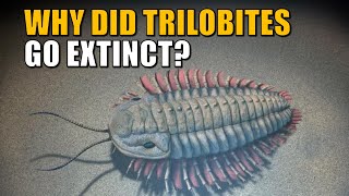 Why did Trilobites go extinct [upl. by Kidder]