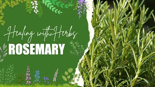 Why Everyone Should Be Using Rosemary Every Day [upl. by Moynahan]