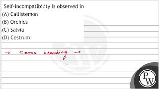 Selfincompatibility is observed in A Callistemon B Orchids C Salvia D Cestrum [upl. by Naliorf]