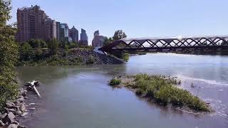 Peace bridge Calgary [upl. by Parish634]