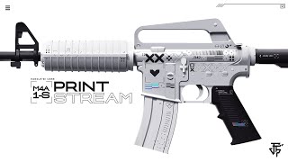 M4A1 S  PRINTSTREAM ingame preview [upl. by Alejandrina]