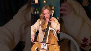 Champagne Problems  Taylor Swift Cello Version [upl. by Nelie]