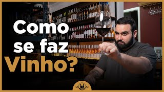 COMO FAZER VINHO em 6 passos simples e didáticos [upl. by Juback52]