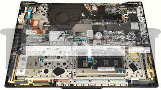 🛠️ How to open Lenovo ThinkPad T16 Gen 3  disassembly and upgrade options [upl. by Nolasba]