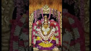 Blessed to render a song for Kamachi Amman Kumbabishekam 09062024 Song by Vasudevaki Senthil Raj [upl. by Nnednarb235]