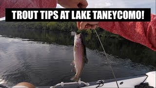 Trout fishing tips at Branson on Lake Taneycomo [upl. by Oicatsana]