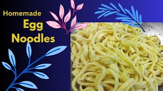 how do you make homemade noodles  Best Homemade Noodles  by yourcook [upl. by Ativet]