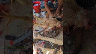 Most Fastest Chicken Cutting Skills By Professional Butcher  Cutting Skills 😱 shorts [upl. by Nimref826]