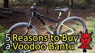 Voodoo Bantu Review 2018  5 Reasons to Buy a Bantu [upl. by Haimirej]