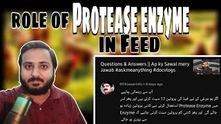 Feed Formulation my Protease Enzyme kia role play krta hy  Role of Protease Enzyme in Feed 🐓🐔🐤🥚 [upl. by Caty546]