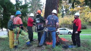 Wraptor Powered Rope Ascender [upl. by Berkshire]