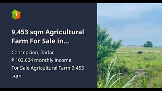 9453 sqm Agricultural Farm For Sale in Concepcion Tarlac [upl. by Marras]