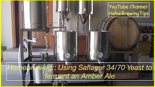 Amber Ale Fermented with Lager Yeast Will it work [upl. by Jarnagin]