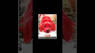 the big red dog full movie Explain in third part। reddog movie shorts [upl. by Karoly94]