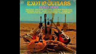 The Exotic Guitars Unchained Melody [upl. by Izzy]