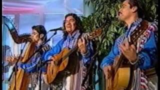 Oberalp amp Brillantes Paraguayos  Medley Live 1997 [upl. by Nnylirehs453]