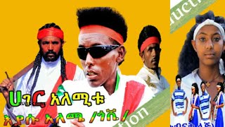 Eyasu Alema እያሱ አለሜ ሀገር አለሚቱ New Amharic music [upl. by Leugim]