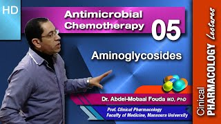 Antimicrobial Chemotherapy Ar Lecture 05 Aminoglycosides [upl. by Notsag149]