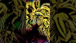 quotBARKING TARANTULASquot Live improvisation livemusic liveperformance [upl. by Sivart]