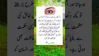 Part98 quotes urdu poetry explore viralvideo youtubeshorts [upl. by Civ]