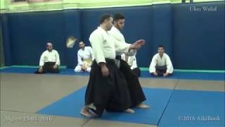 Gyaku hammi Katate dori  Tenchi nage [upl. by Teyut942]